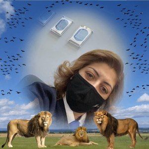 Meet your Posher, Maryam